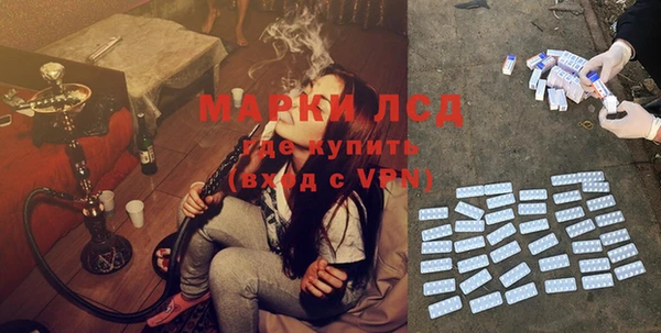 индика Абинск