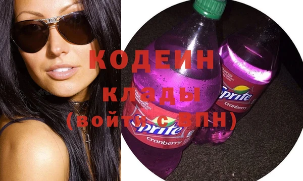 индика Абинск