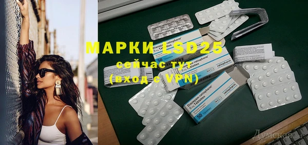 индика Абинск