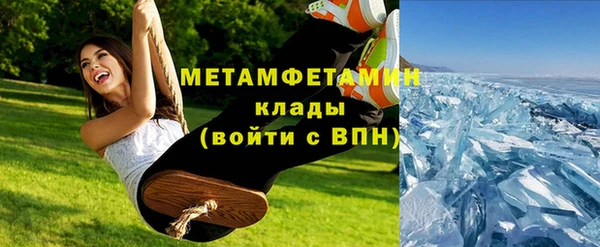 прущие грибы Майский