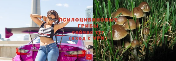 индика Абинск